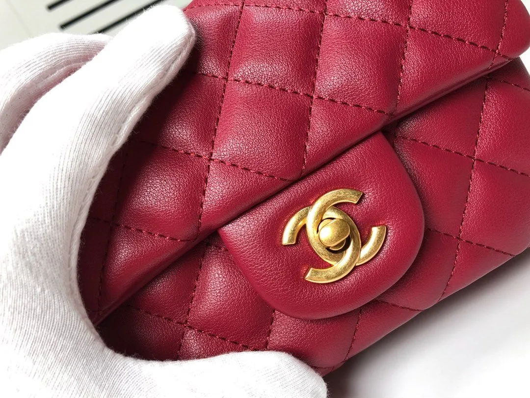 Designer Handbags CL 117