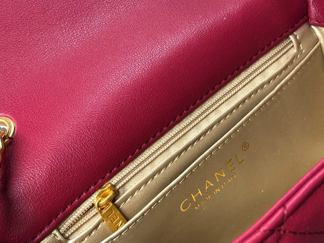 Designer Handbags CL 117